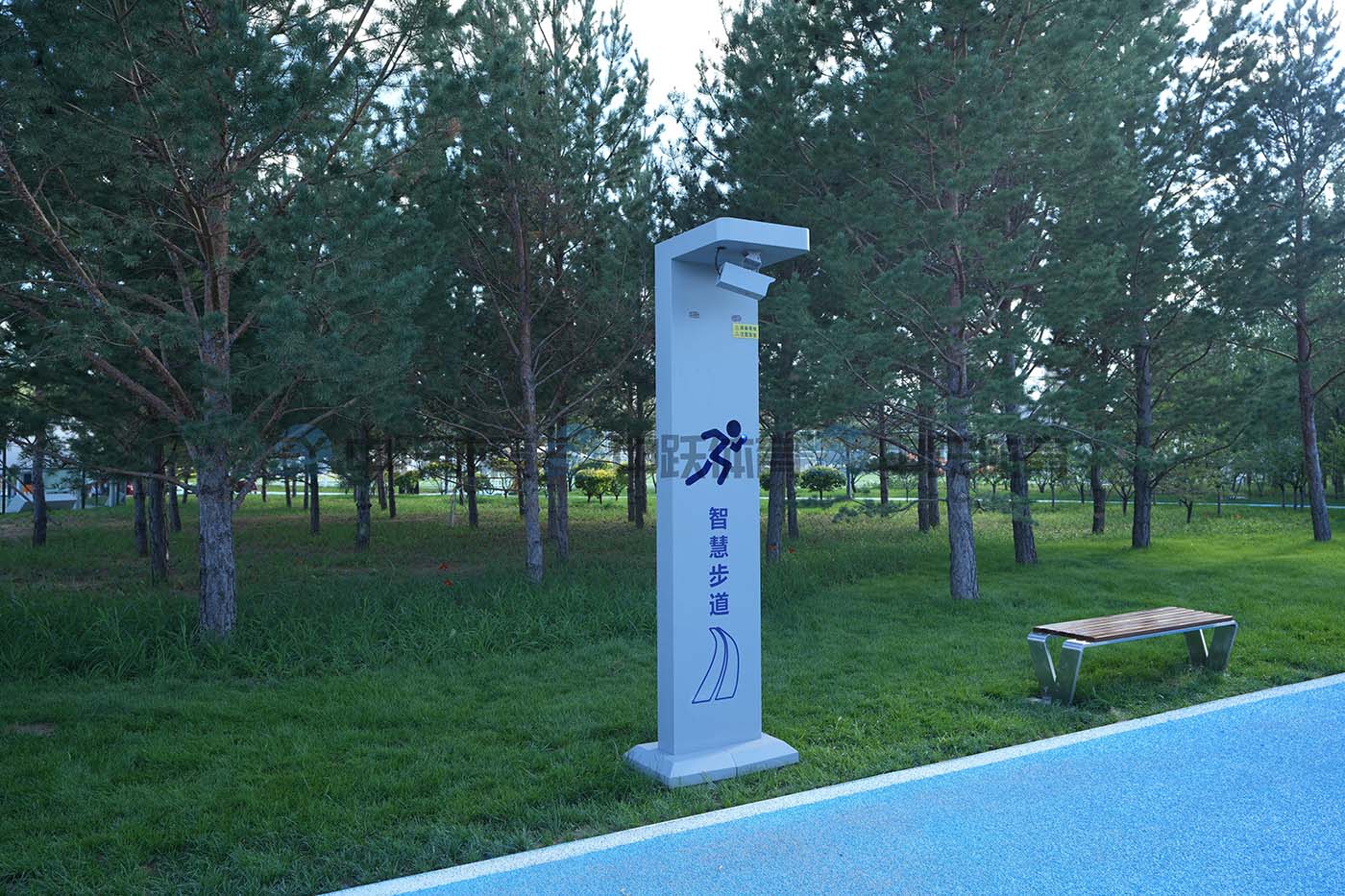 ZY-ZHCP-BD04 智慧步道03.JPG