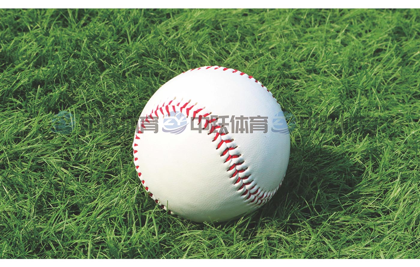 ZYJ-实心硬式棒球05.jpg