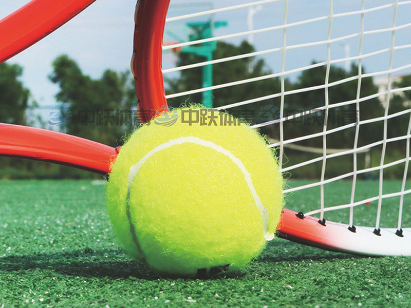 ZYJ-多功能训练网球