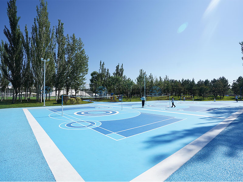 ZY-WHCY12 球场文化定制