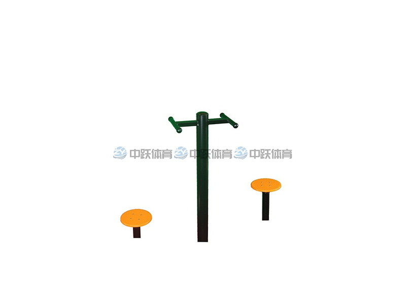 ZYG1048 双位转腰器,功能：发展躯干肌群的伸展性、弹性、调整脊柱