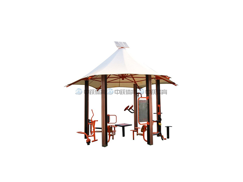 ZYYZ01 智能健身驿站