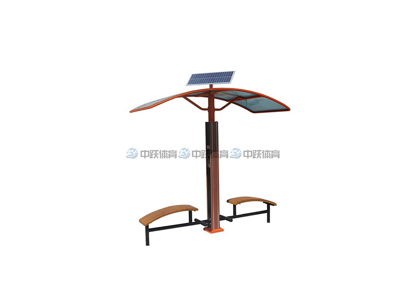 ZYZN-05 智能腹部训练器