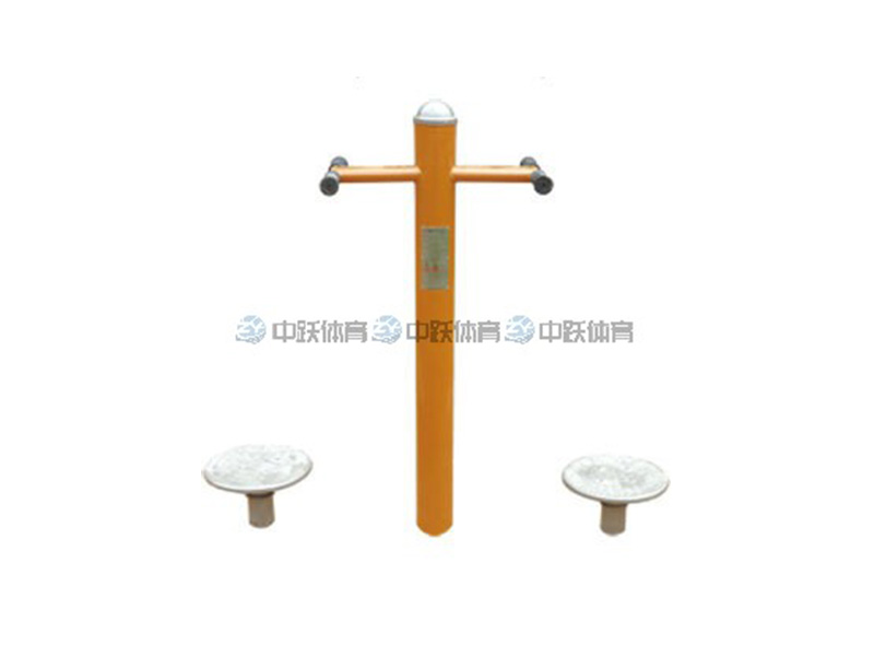 ZYXGN-1003 双位转腰健身器