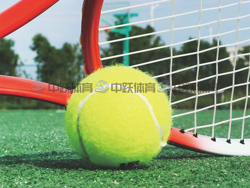 ZYJ-多功能训练网球