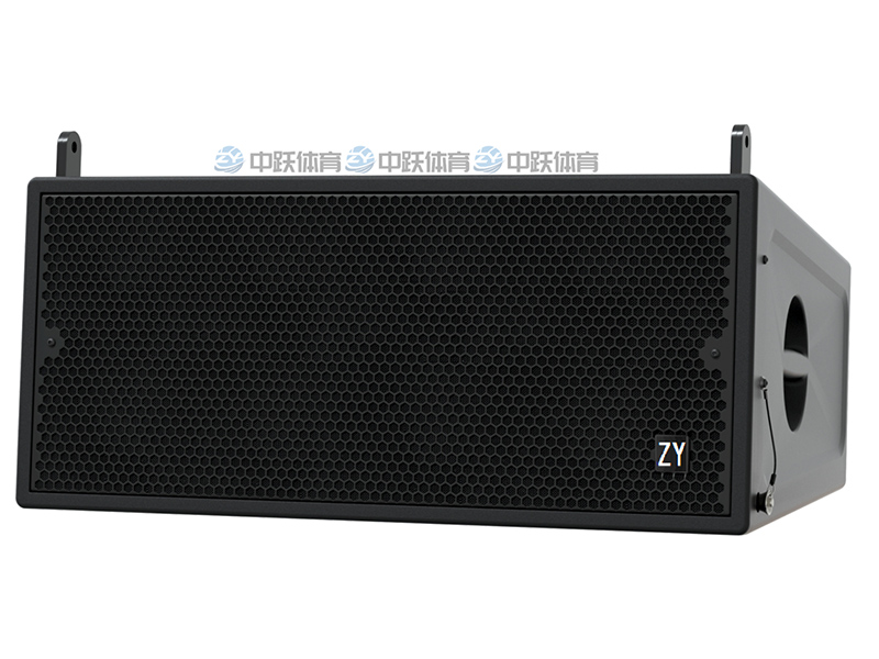 ZY-YX-01 双10寸两分频（防水）线阵列音响 