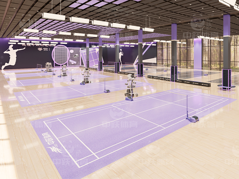 紫灰色主体羽毛球馆