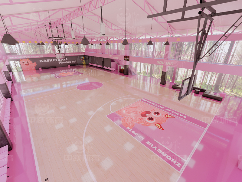 粉红主题篮球馆