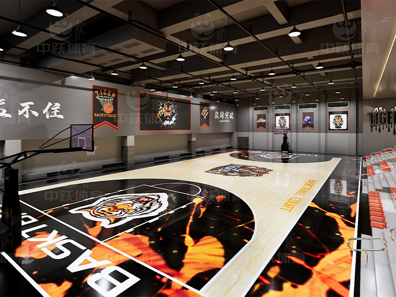欧美老虎主题篮球馆